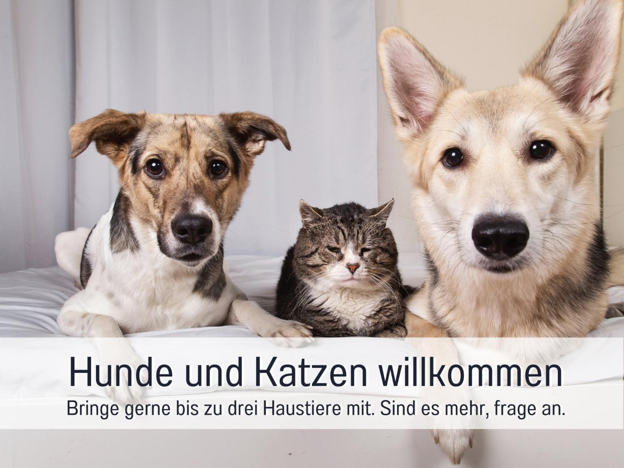 Ferienhaus Toepferhaus - Strandnah, Haustierfreundlich, Optimal Fuer Workation, Kaminofen, Garten, Fuer Paare Und Alleinreisende Steinberg  Ngoại thất bức ảnh