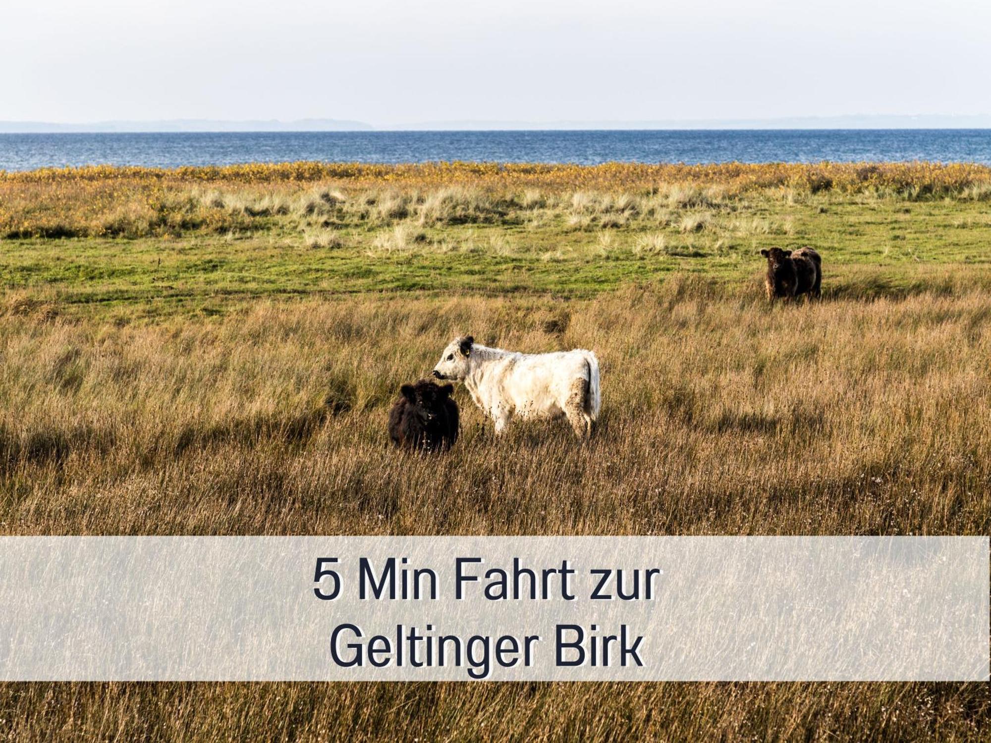 Ferienhaus Toepferhaus - Strandnah, Haustierfreundlich, Optimal Fuer Workation, Kaminofen, Garten, Fuer Paare Und Alleinreisende Steinberg  Ngoại thất bức ảnh